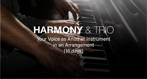 Harmony & Trio vocal training plan - Harmony singing and interval training (18 days)